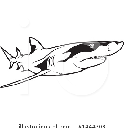 Royalty-Free (RF) Shark Clipart Illustration by dero - Stock Sample #1444308
