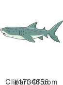 Shark Clipart #1734856 by Pushkin