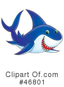 Shark Clipart #46801 by Alex Bannykh