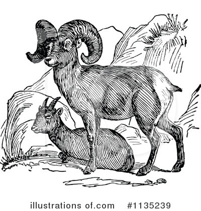 Royalty-Free (RF) Sheep Clipart Illustration by Prawny Vintage - Stock Sample #1135239