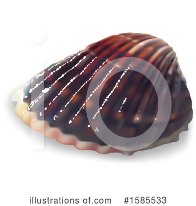 Shells Clipart #1585533 by dero