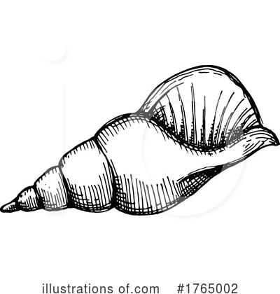 Seashell Clipart #1765002 by Vector Tradition SM