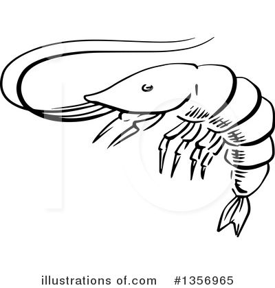 Royalty-Free (RF) Shrimp Clipart Illustration by Vector Tradition SM - Stock Sample #1356965