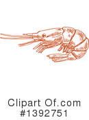 Shrimp Clipart #1392751 by Vector Tradition SM