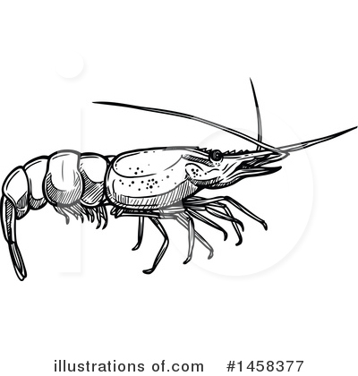 Royalty-Free (RF) Shrimp Clipart Illustration by Vector Tradition SM - Stock Sample #1458377
