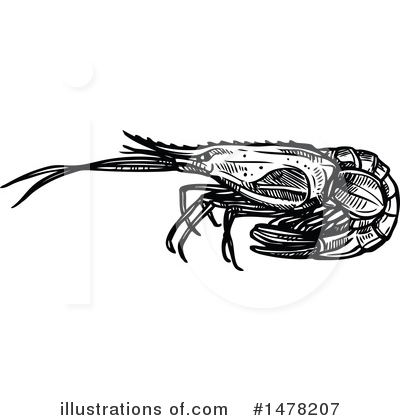 Royalty-Free (RF) Shrimp Clipart Illustration by Vector Tradition SM - Stock Sample #1478207