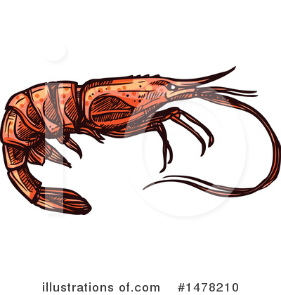Royalty-Free (RF) Shrimp Clipart Illustration by Vector Tradition SM - Stock Sample #1478210