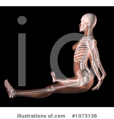Royalty-Free (RF) Skeleton Clipart Illustration by KJ Pargeter - Stock Sample #1073136