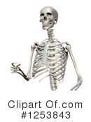 Skeleton Clipart #1253843 by Mopic