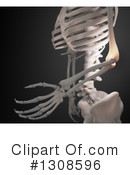 Skeleton Clipart #1308596 by Mopic