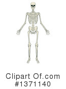 Skeleton Clipart #1371140 by AtStockIllustration