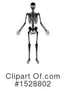 Skeleton Clipart #1528802 by AtStockIllustration