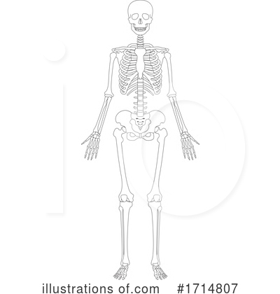 Royalty-Free (RF) Skeleton Clipart Illustration by Lal Perera - Stock Sample #1714807