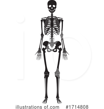 Royalty-Free (RF) Skeleton Clipart Illustration by Lal Perera - Stock Sample #1714808