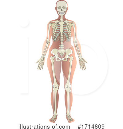 Royalty-Free (RF) Skeleton Clipart Illustration by Lal Perera - Stock Sample #1714809