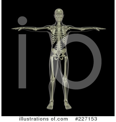 Royalty-Free (RF) Skeleton Clipart Illustration by KJ Pargeter - Stock Sample #227153