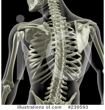 Royalty-Free (RF) Skeleton Clipart Illustration by KJ Pargeter - Stock Sample #230593