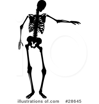 Royalty-Free (RF) Skeleton Clipart Illustration by KJ Pargeter - Stock Sample #28645