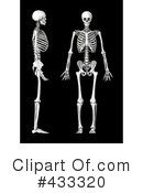 Skeleton Clipart #433320 by Mopic
