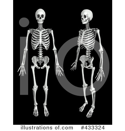 Skeleton Clipart #433324 by Mopic