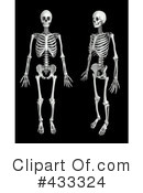 Skeleton Clipart #433324 by Mopic