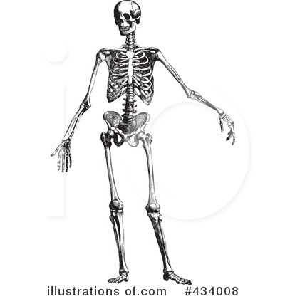 Anatomy Clipart #434008 by BestVector