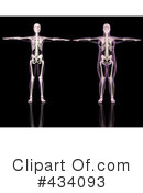 Skeleton Clipart #434093 by KJ Pargeter