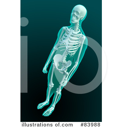 Skeleton Clipart #83988 by Mopic