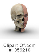 Skull Clipart #1059210 by Michael Schmeling