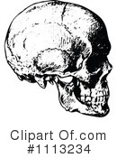 Skull Clipart #1113234 by Prawny Vintage