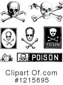 Skull Clipart #1215695 by BestVector
