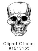 Skull Clipart #1219165 by AtStockIllustration