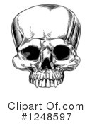 Skull Clipart #1248597 by AtStockIllustration