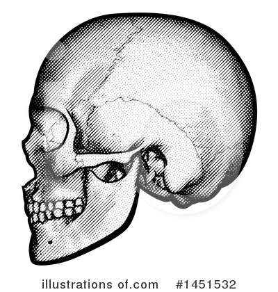Royalty-Free (RF) Skull Clipart Illustration by AtStockIllustration - Stock Sample #1451532