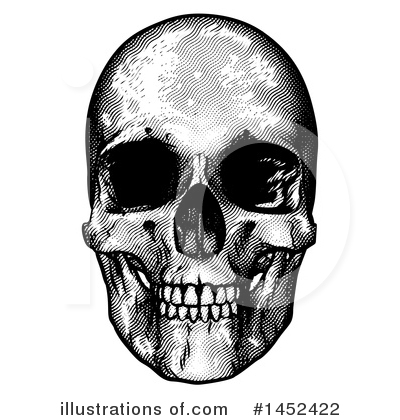 Royalty-Free (RF) Skull Clipart Illustration by AtStockIllustration - Stock Sample #1452422