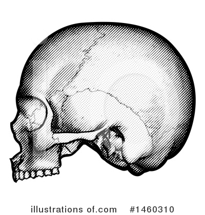 Royalty-Free (RF) Skull Clipart Illustration by AtStockIllustration - Stock Sample #1460310