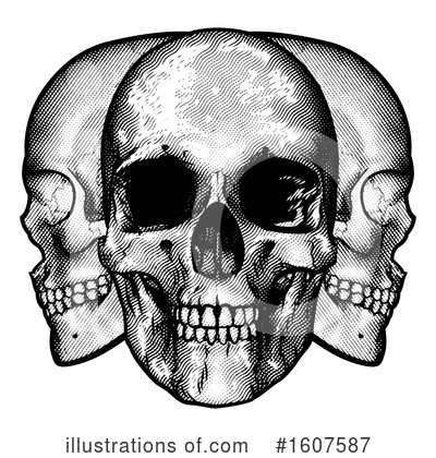 Royalty-Free (RF) Skull Clipart Illustration by AtStockIllustration - Stock Sample #1607587