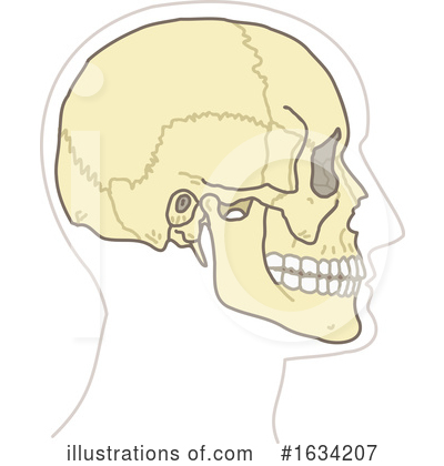 Royalty-Free (RF) Skull Clipart Illustration by NL shop - Stock Sample #1634207