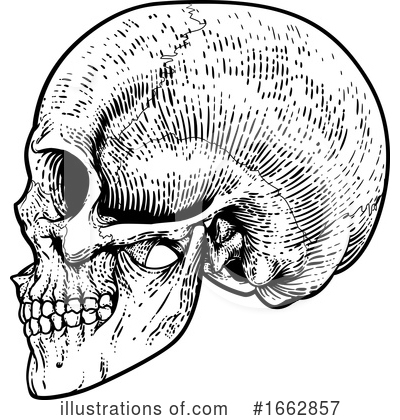 Royalty-Free (RF) Skull Clipart Illustration by AtStockIllustration - Stock Sample #1662857