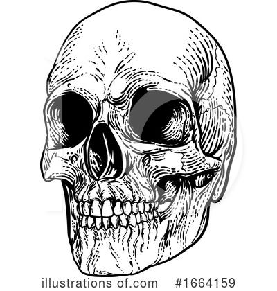 Royalty-Free (RF) Skull Clipart Illustration by AtStockIllustration - Stock Sample #1664159