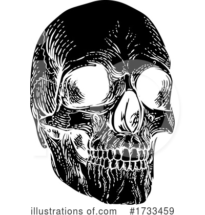 Royalty-Free (RF) Skull Clipart Illustration by AtStockIllustration - Stock Sample #1733459