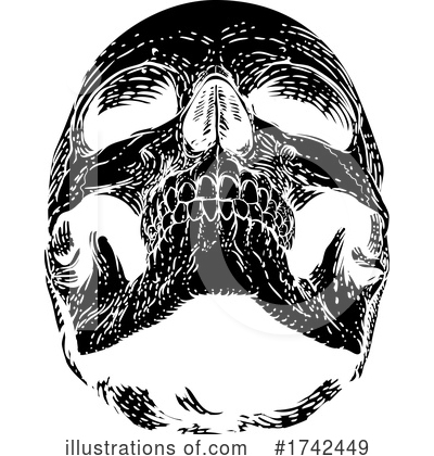 Royalty-Free (RF) Skull Clipart Illustration by AtStockIllustration - Stock Sample #1742449