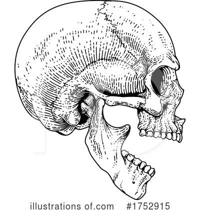 Royalty-Free (RF) Skull Clipart Illustration by AtStockIllustration - Stock Sample #1752915