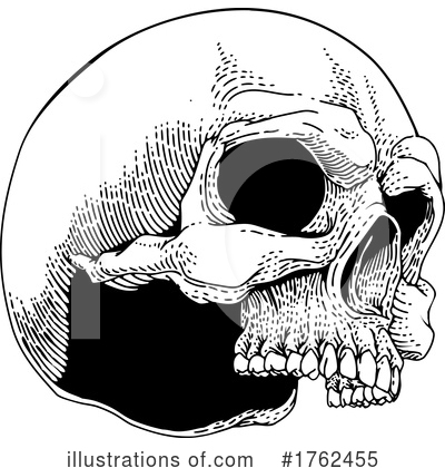 Royalty-Free (RF) Skull Clipart Illustration by AtStockIllustration - Stock Sample #1762455