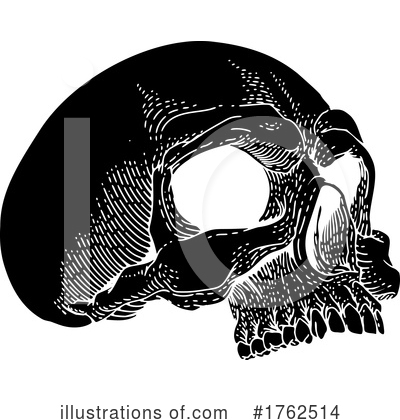 Royalty-Free (RF) Skull Clipart Illustration by AtStockIllustration - Stock Sample #1762514