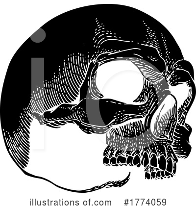 Royalty-Free (RF) Skull Clipart Illustration by AtStockIllustration - Stock Sample #1774059