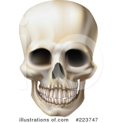 Skeleton Clipart #223747 by AtStockIllustration
