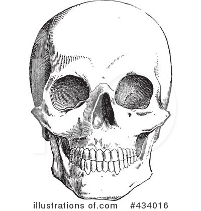 Anatomy Clipart #434016 by BestVector