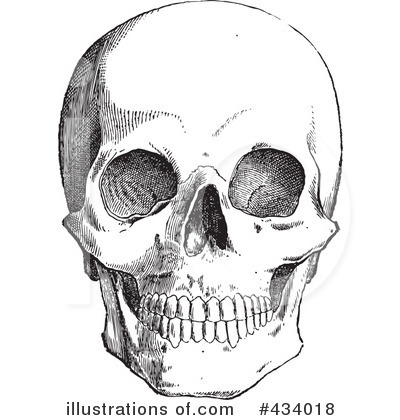Skull Clipart #434018 by BestVector