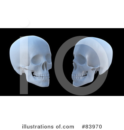 Skeleton Clipart #83970 by Mopic